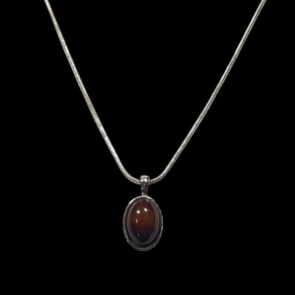 Liz Claiborne Silver Tone Necklace With Brown Oval Stone - Picture 2 of 6